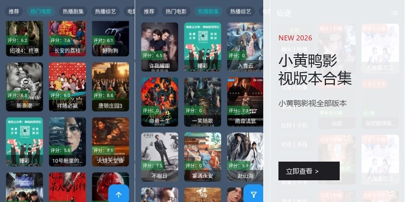 小黄鸭影视版本合集