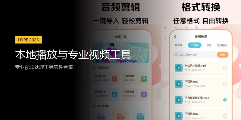 本地播放与专业视频工具