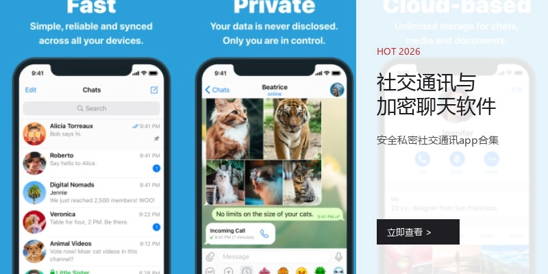 社交通讯与加密聊天软件