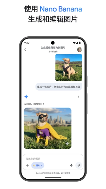 gemini 2.5pro安卓版图3
