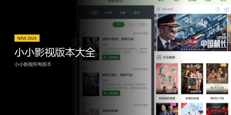 小小影视版本大全