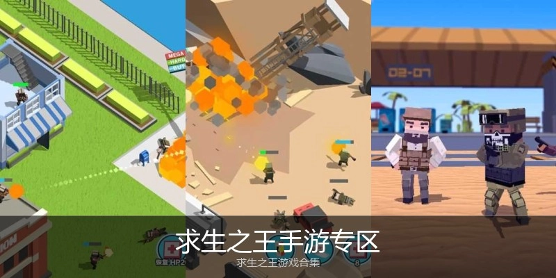 求生之王手游专区