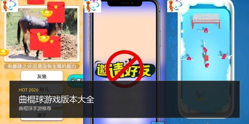曲棍球游戏版本大全