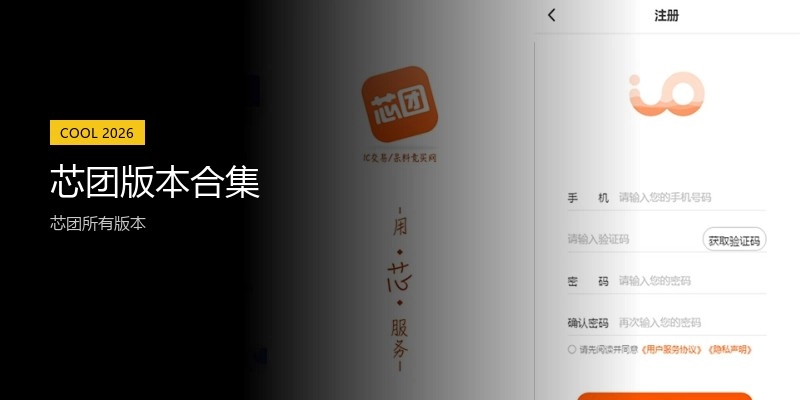 芯团版本合集