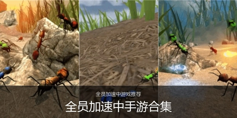 全员加速中手游合集