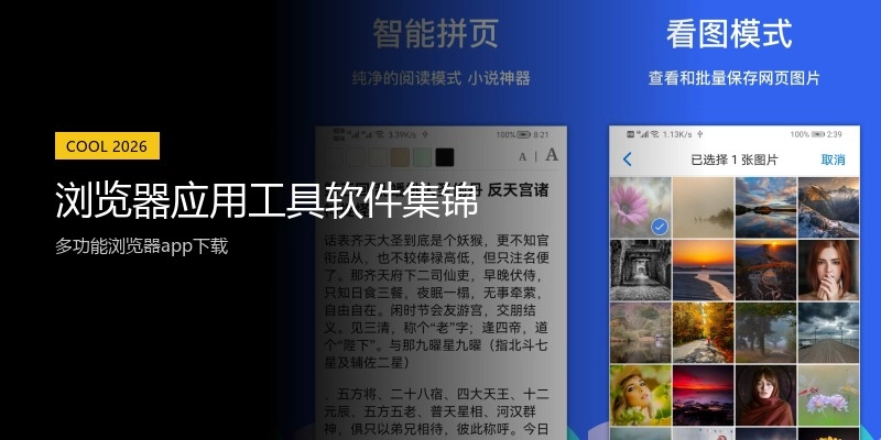 浏览器应用工具软件集锦
