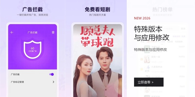 特殊版本与应用修改