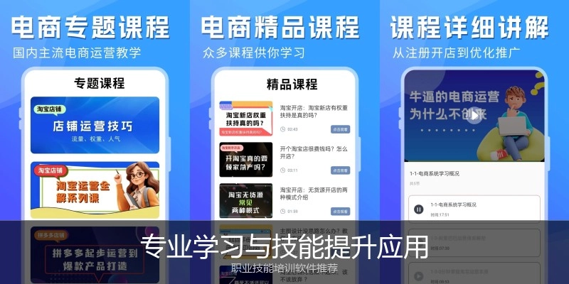 专业学习与技能提升应用