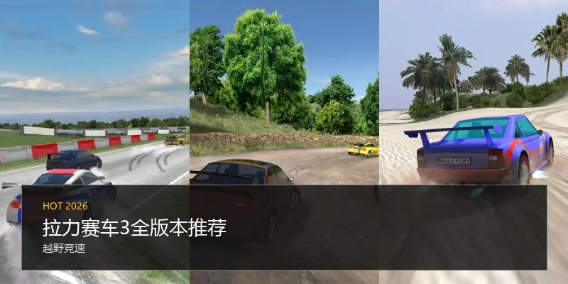 拉力赛车3全版本推荐