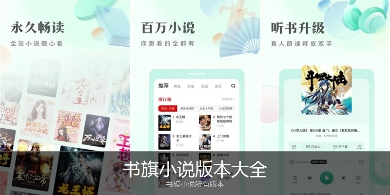 书旗小说版本大全