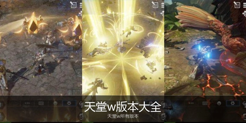 天堂w版本大全