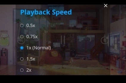 realplayer倍速播放