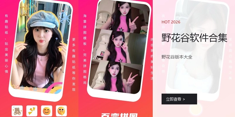 野花谷软件合集