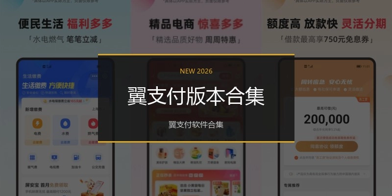 翼支付版本合集