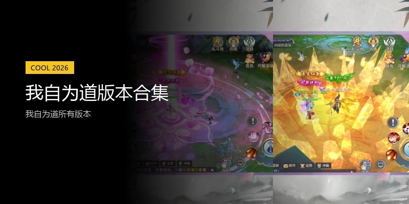 我自为道版本合集