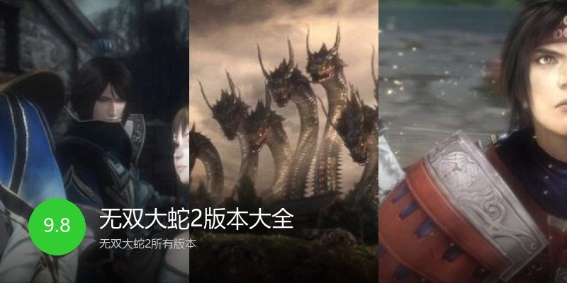无双大蛇2版本大全
