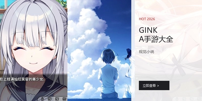 GINKA手游大全
