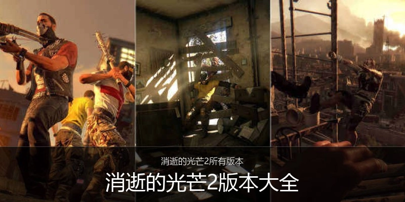 消逝的光芒2版本大全