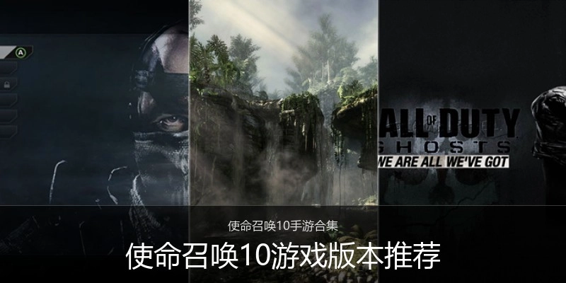 使命召唤10游戏版本推荐