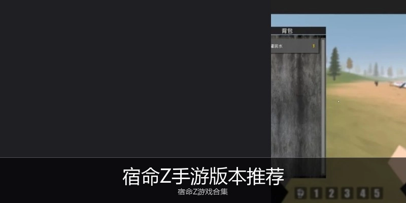 宿命Z手游版本推荐