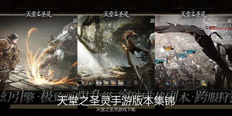 天堂之圣灵手游版本集锦