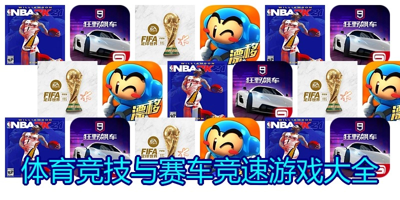 体育竞技与赛车竞速游戏大全