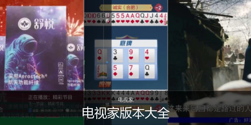 电视家版本大全