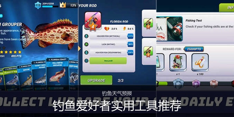 钓鱼爱好者实用工具推荐