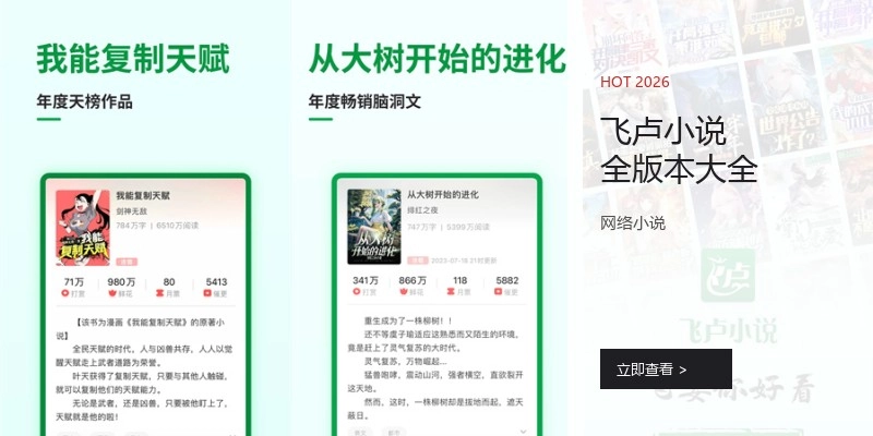 飞卢小说全版本大全