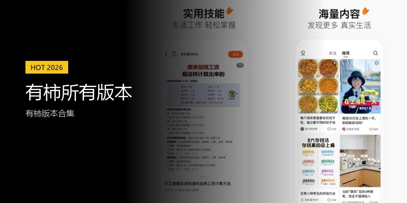 有柿所有版本