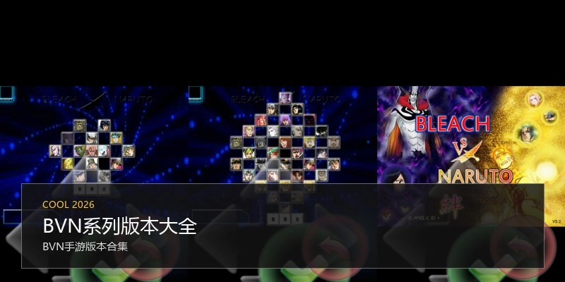 BVN系列版本大全