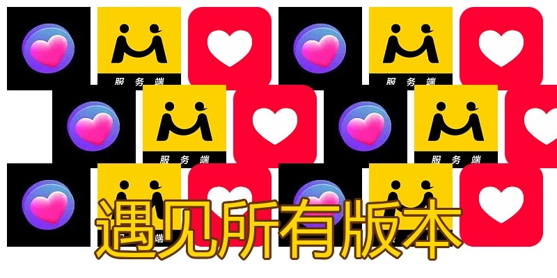 遇见所有版本