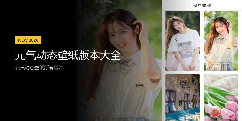 元气动态壁纸版本大全