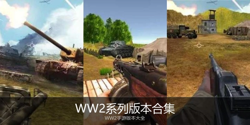 WW2系列版本合集