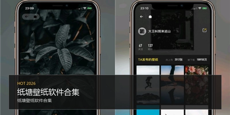 纸塘壁纸软件合集