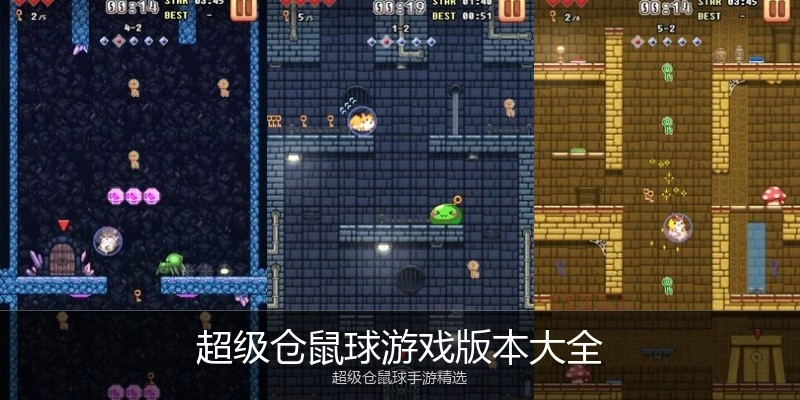 超级仓鼠球游戏版本大全