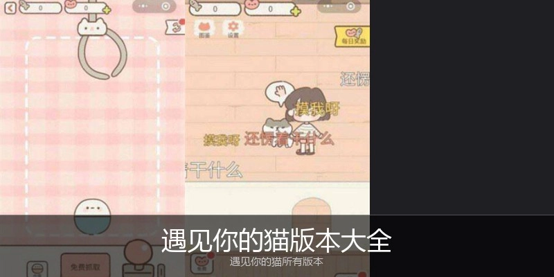 遇见你的猫版本大全
