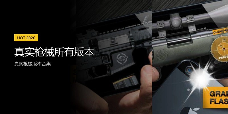 真实枪械所有版本