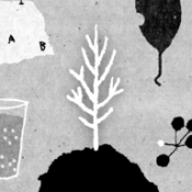 她的树解谜之梦