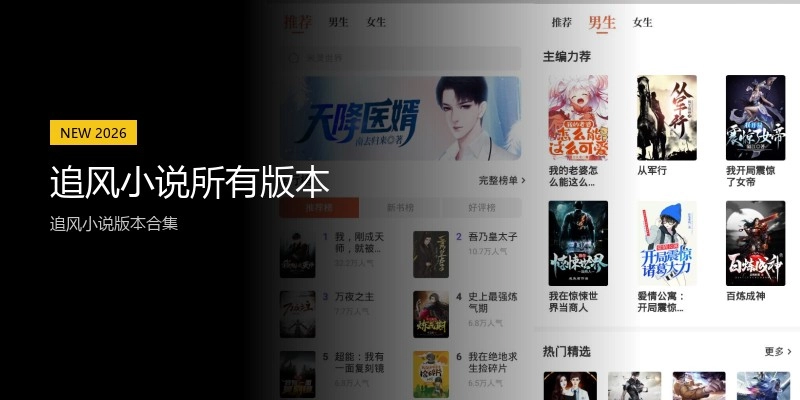 追风小说所有版本
