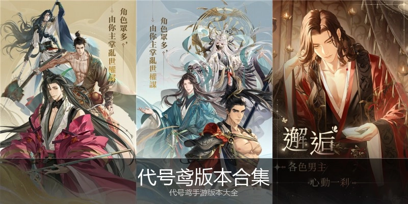 代号鸢版本合集