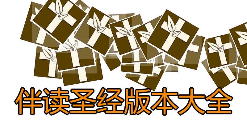 伴读圣经版本大全