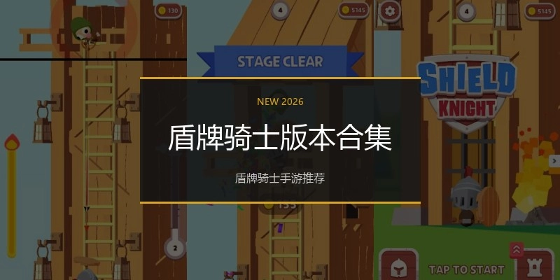 盾牌骑士版本合集