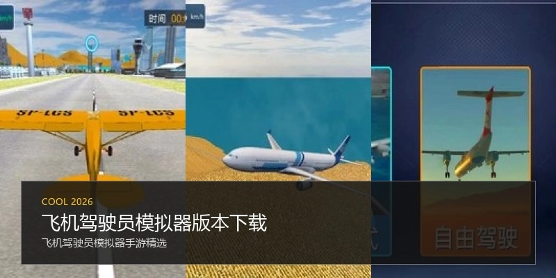 飞机驾驶员模拟器版本下载