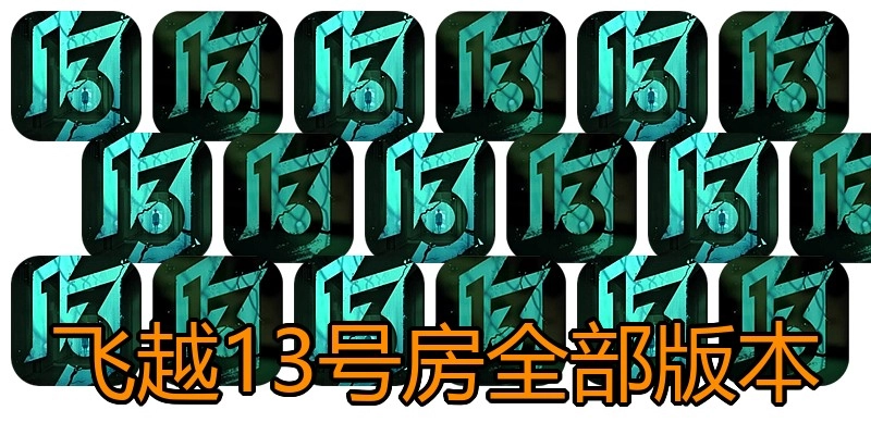 飞越13号房全部版本