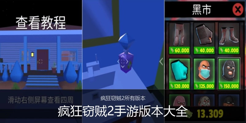 疯狂窃贼2手游版本大全