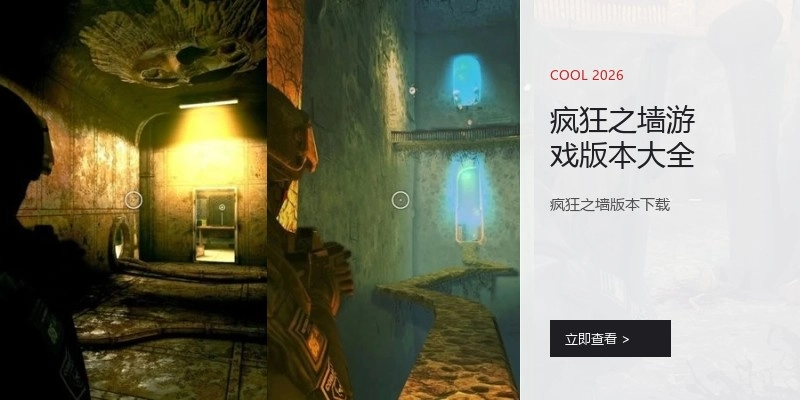 疯狂之墙游戏版本大全