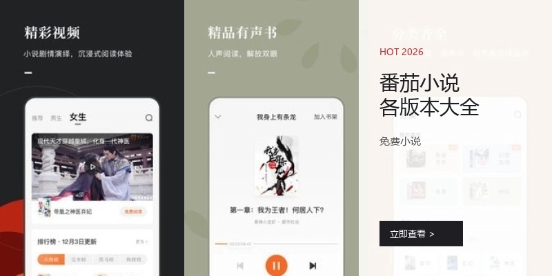 番茄小说各版本大全
