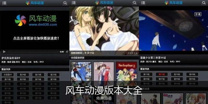 风车动漫版本大全