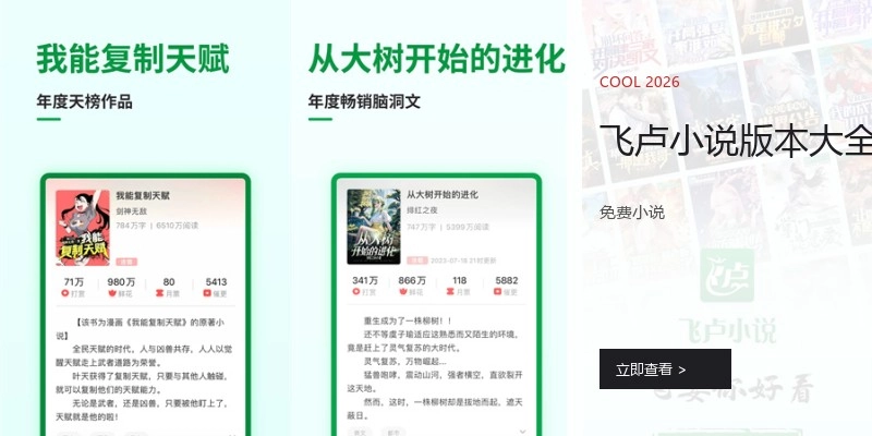 飞卢小说版本大全